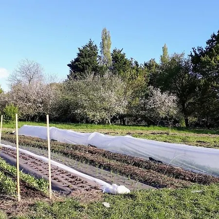 別荘 Charmant Gite A La Ferme *