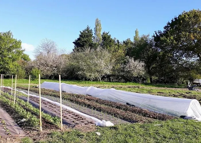 Ferienhaus Charmant Gite A La Ferme *
